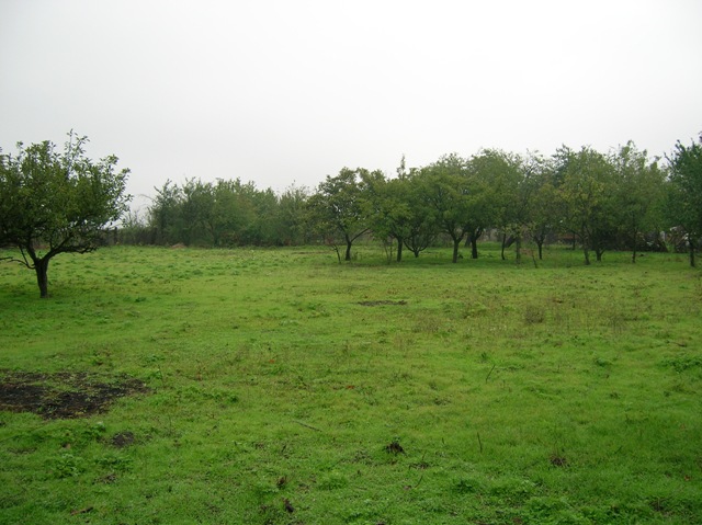 A solid rural house close to the town of Dobrich/Varna/Balchik