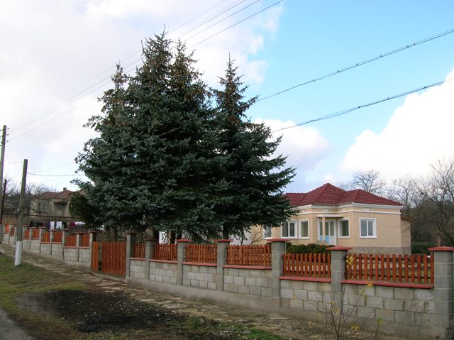 A recently renovated house, ready to become your second home or favourite holiday place Dobrich/Varna/Balchik