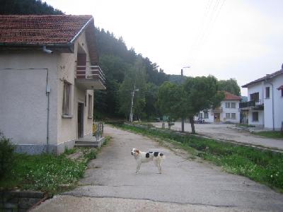 Продава