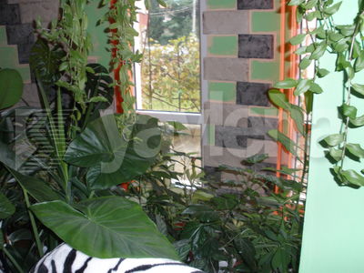 двустаен, Бургас