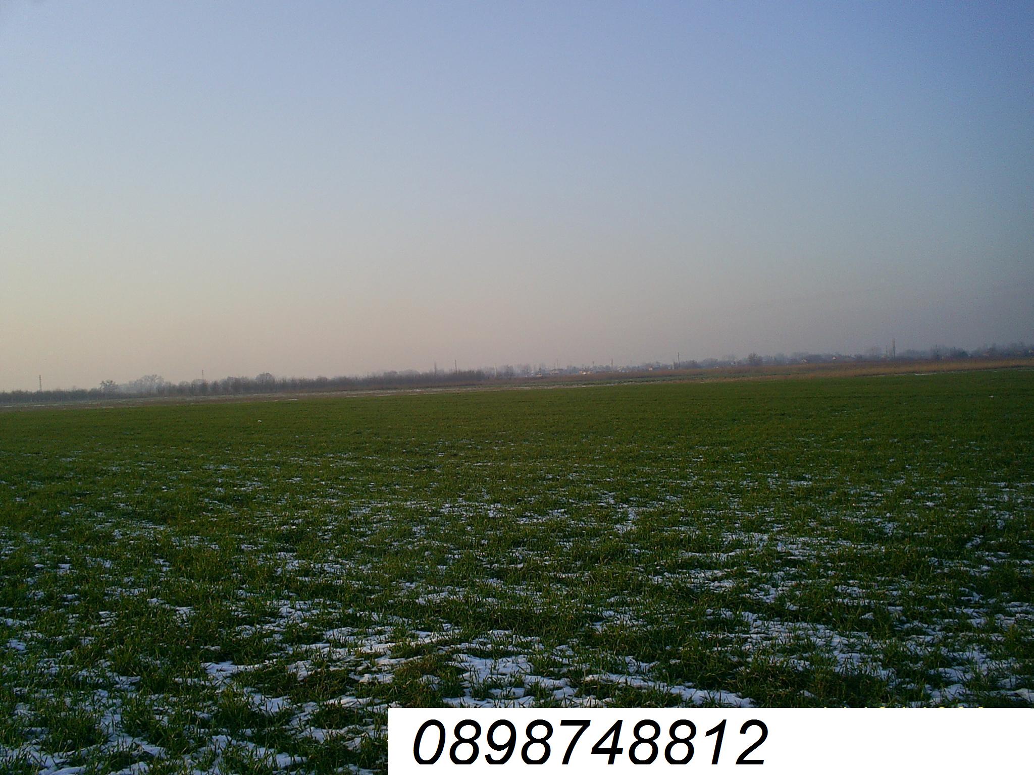 Продавам обработваема земеделска земя 20дка и 300кв.м в с.Оризари на 5 км от гр.Пловдив със сонда близо до главен път.