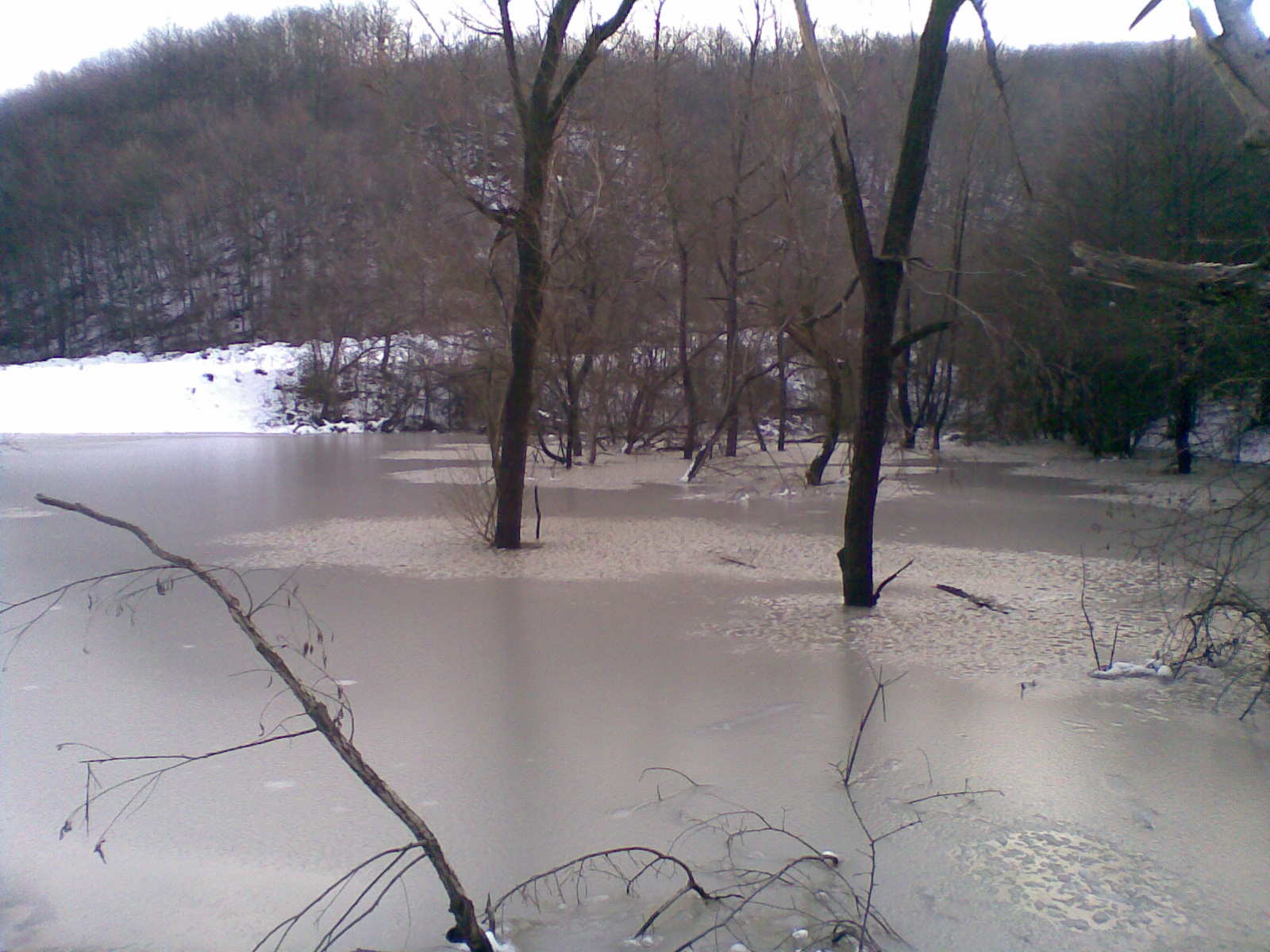 ПРОДАВАМ ВОДОЕМ (ЯЗОВИР),РИБАРНИК И ЗЕМЯ
