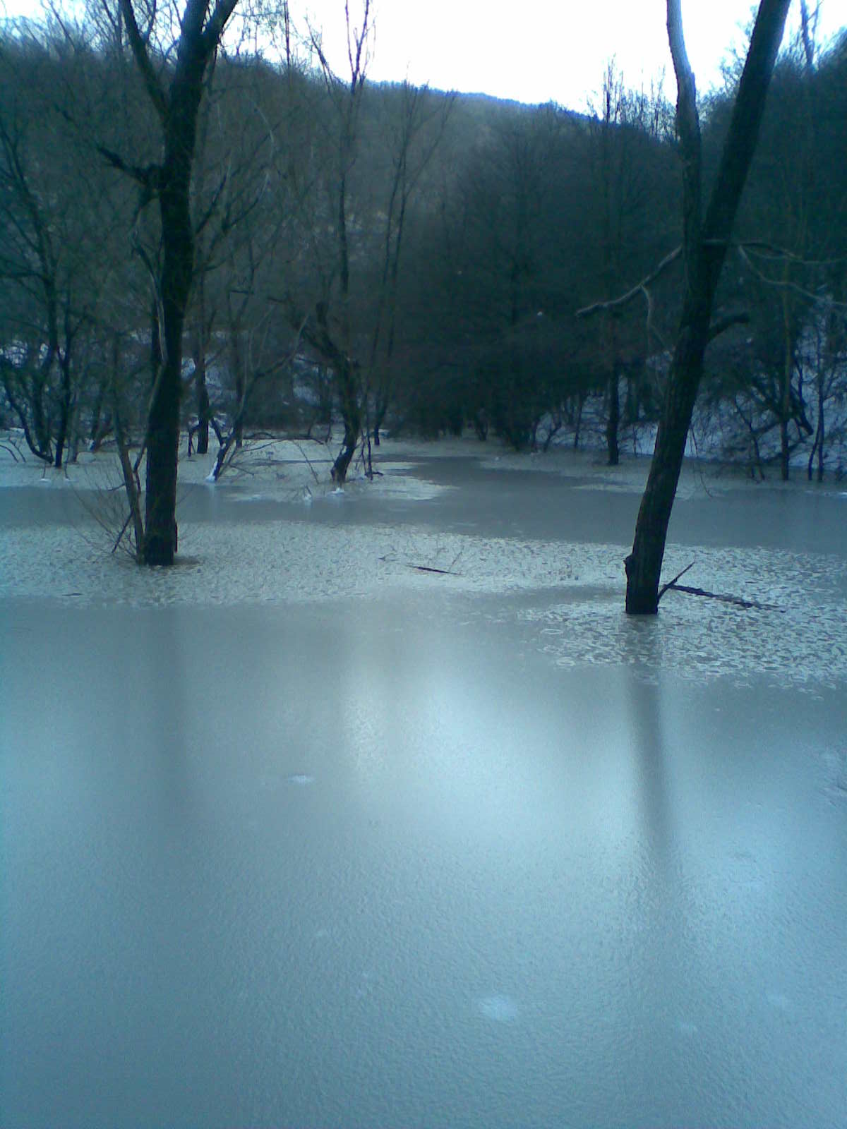 ПРОДАВАМ ВОДОЕМ (ЯЗОВИР),РИБАРНИК И ЗЕМЯ