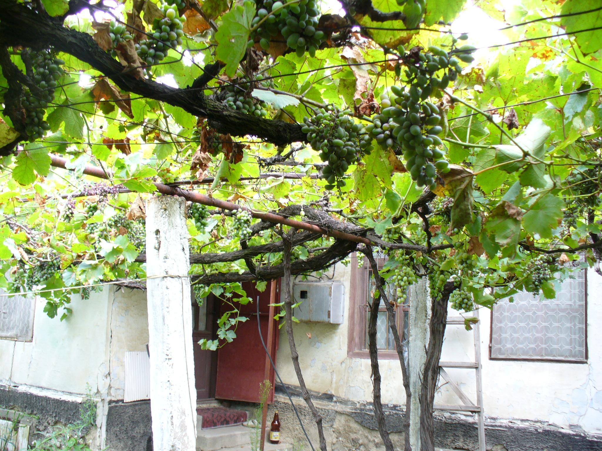 Продава къща на село
