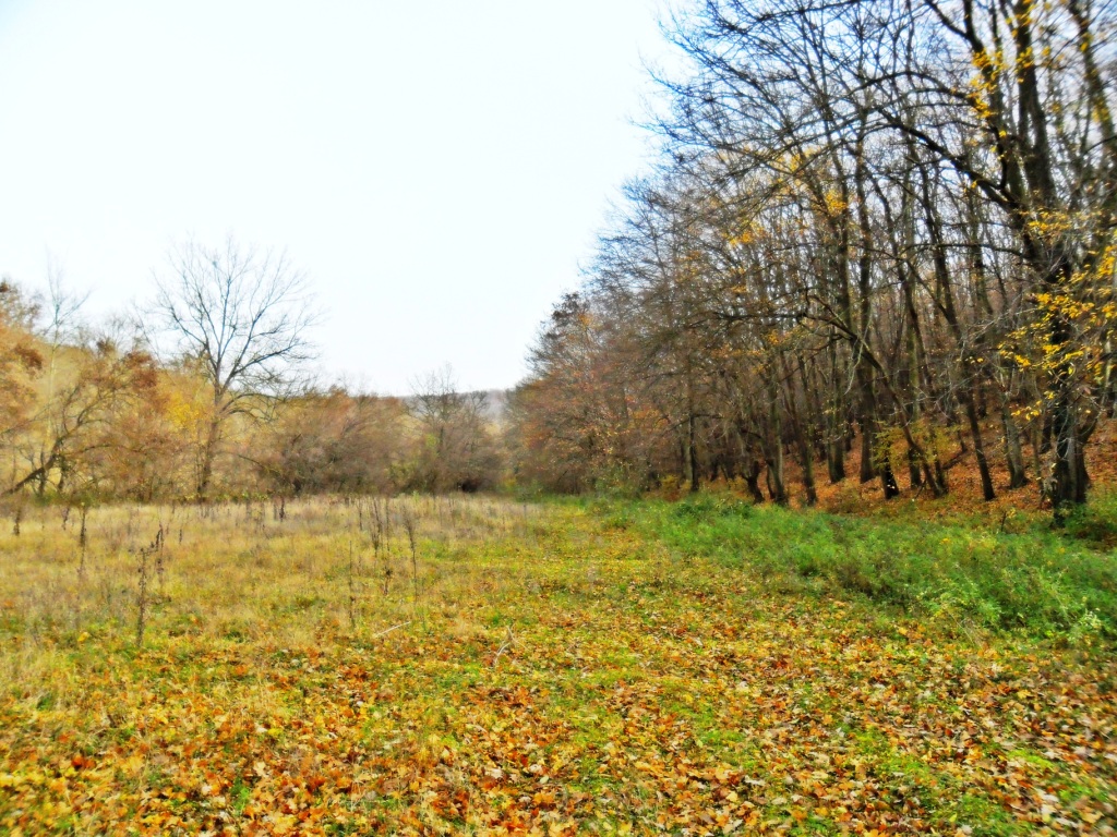 Жилищен парцел в гр.Варна 12557 кв.м, цена 15 е.кв.м  На 4км от центъра на гр.Варна, ток, вода, автобусна спирка редовен градски транспорт. Предназначение ЖМ-2 строителство