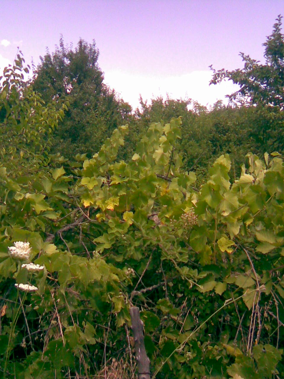 продава къща