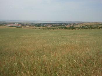 Bulgaria, village Rudnik, near to city Bourgas and Black sea. A plot of land 1007 square meters, with view at airport 