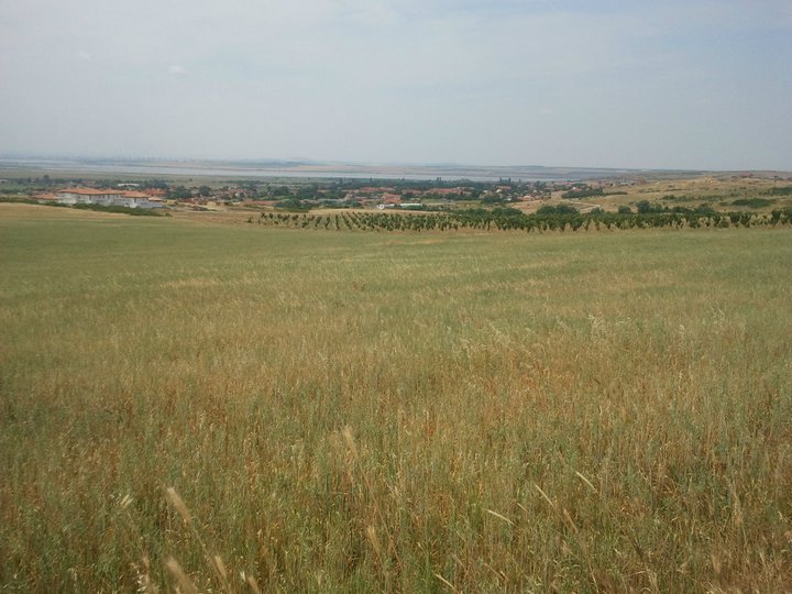 Bulgaria, village Rudnik, near to city Bourgas and Black sea. A plot of land 1007 square meters, with view at airport 