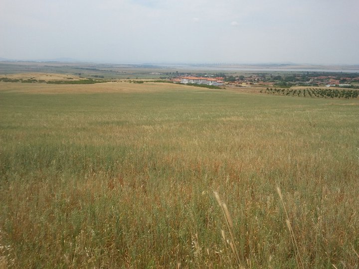 Bulgaria, village Rudnik, near to city Bourgas and Black sea. A plot of land 1007 square meters, with view at airport 