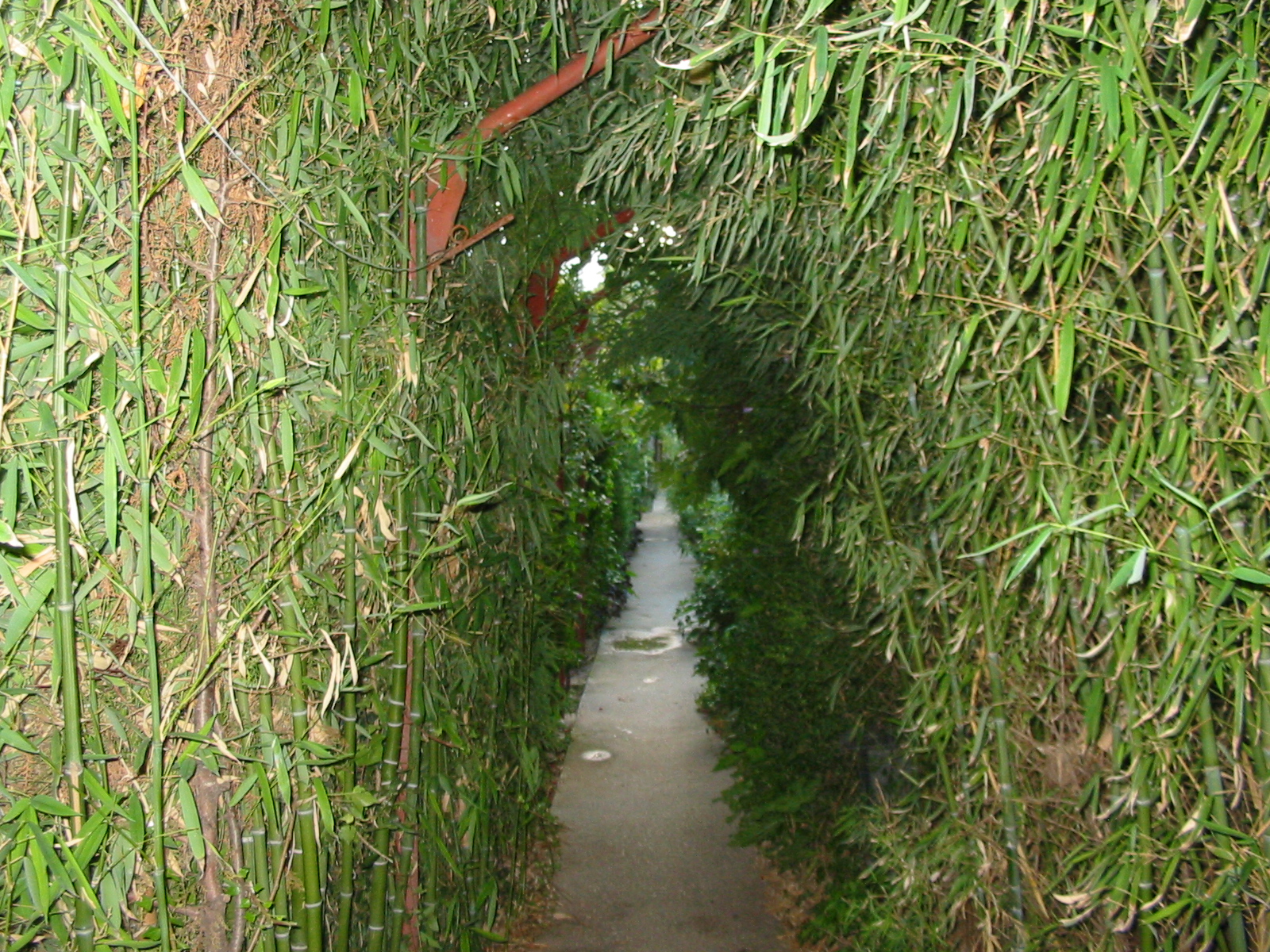 Продавам или давам под наем Хотел-ресторант работещ като ХОСТЕЛ