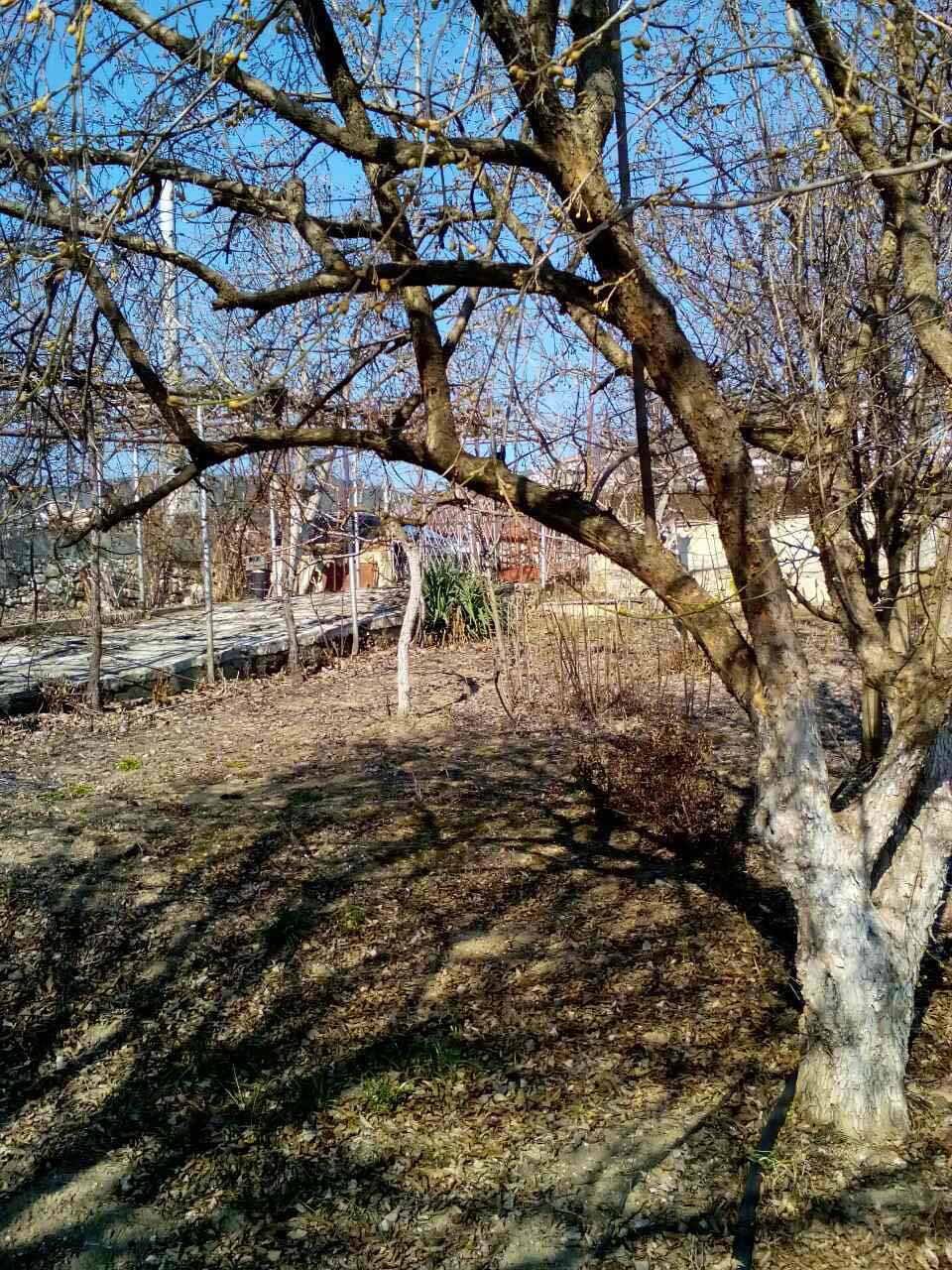 Продава Къща във Виница, област Варна