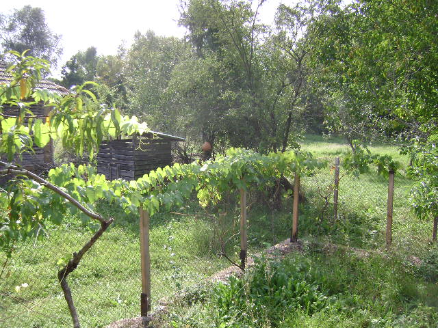 Продава Къща в с. Водица