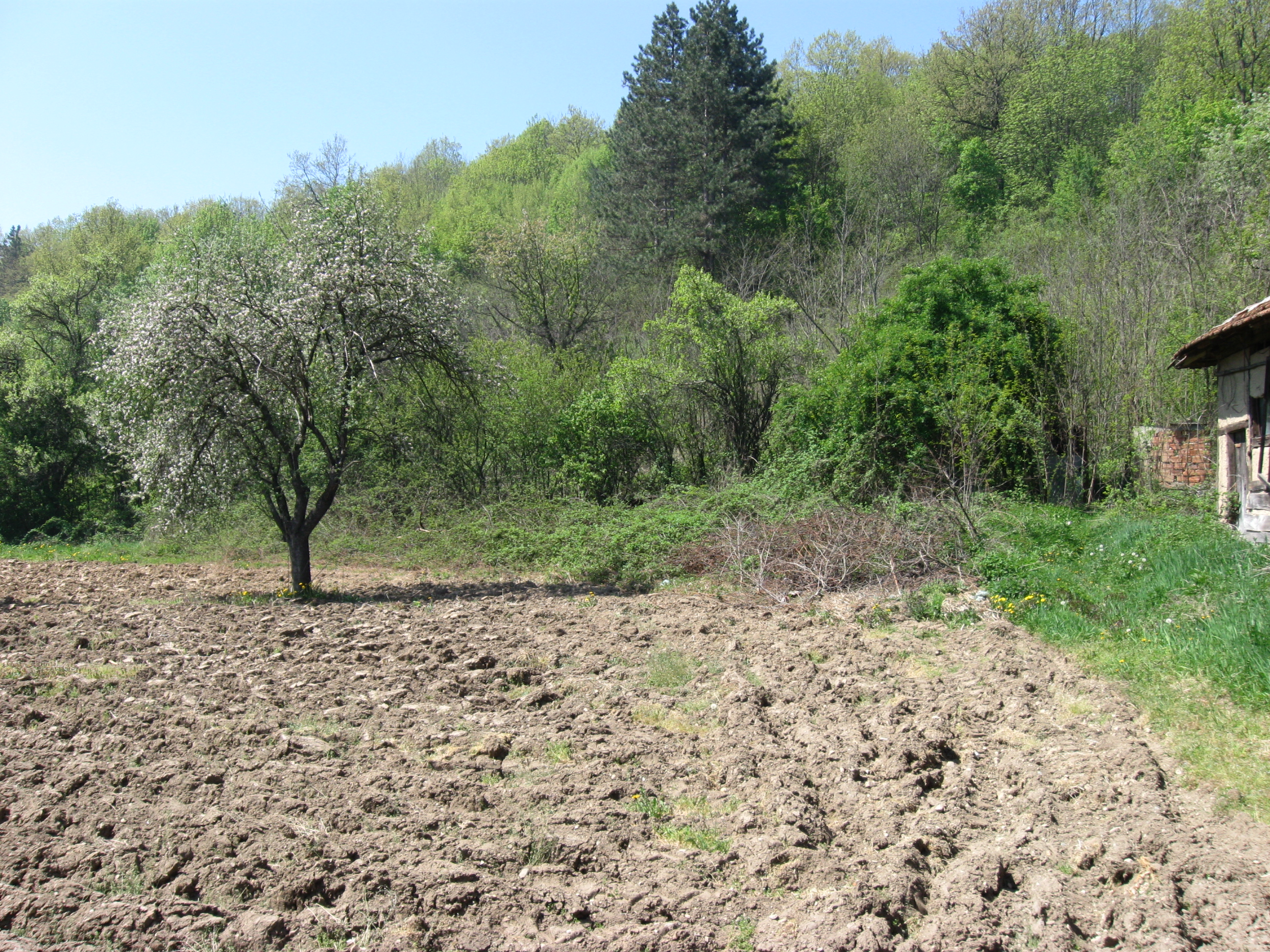 Продава Къща в село Боровци