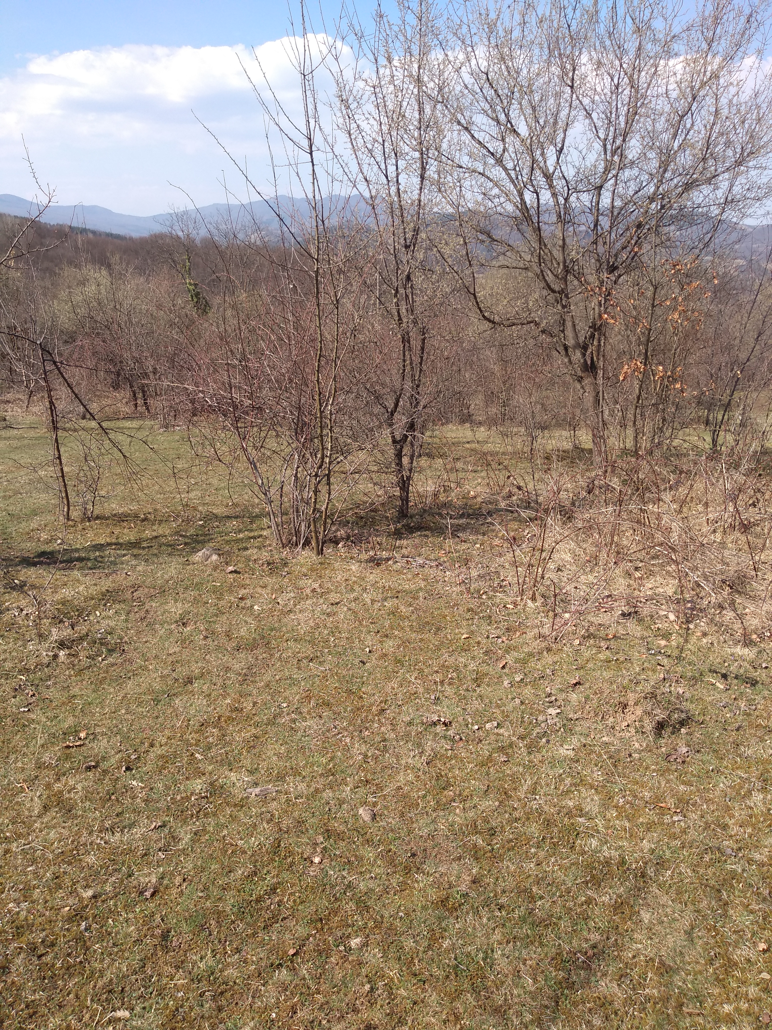 Продава Парцел в село рибарица, квартал рибарица, област софия