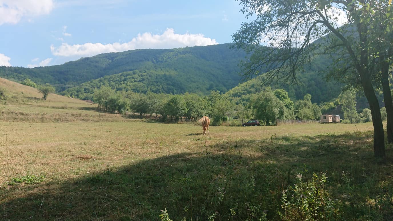 Продава Земеделска земя в село Ябланица, област София