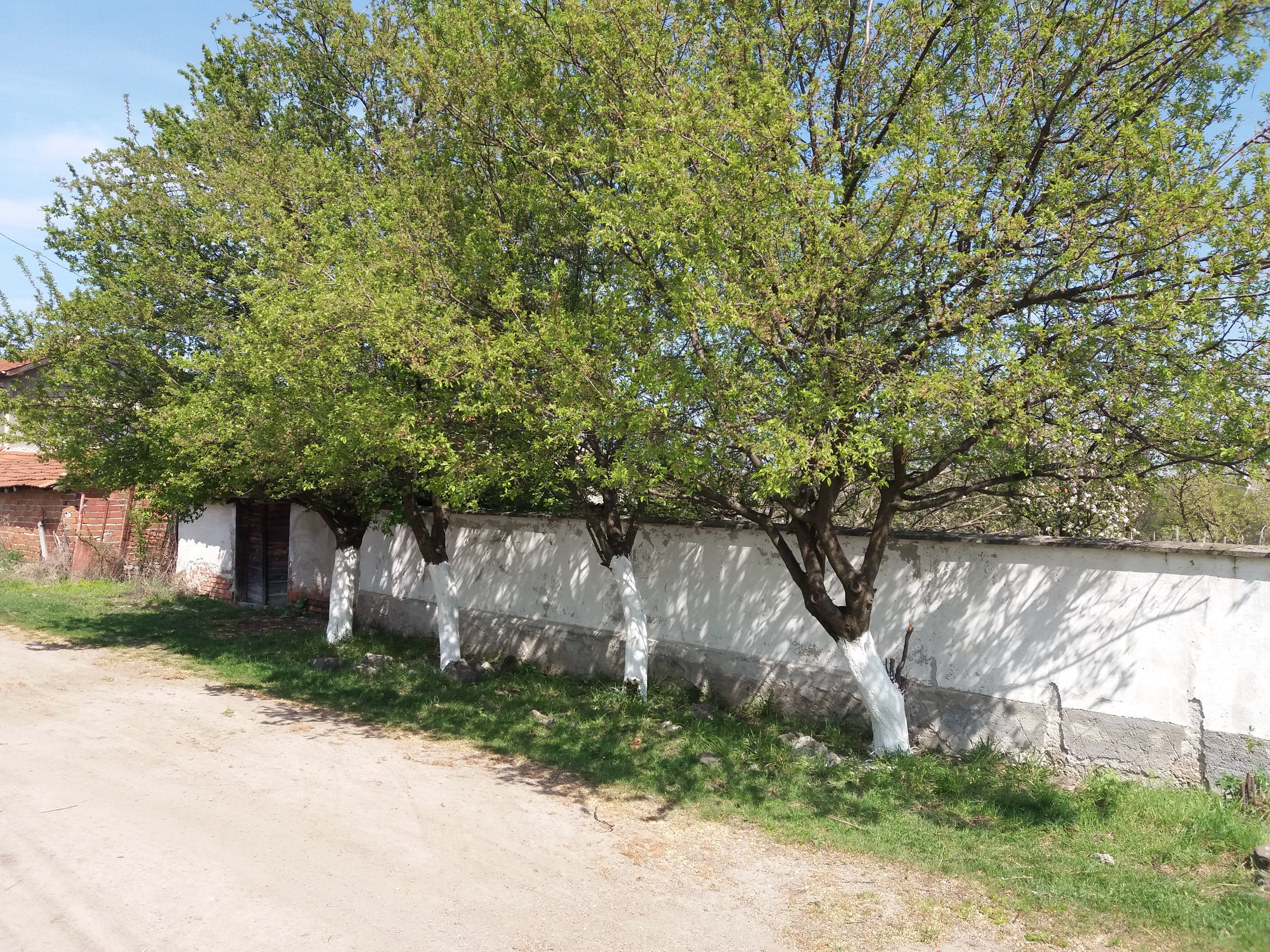 Продава Къща в село Сираково, област Хасково