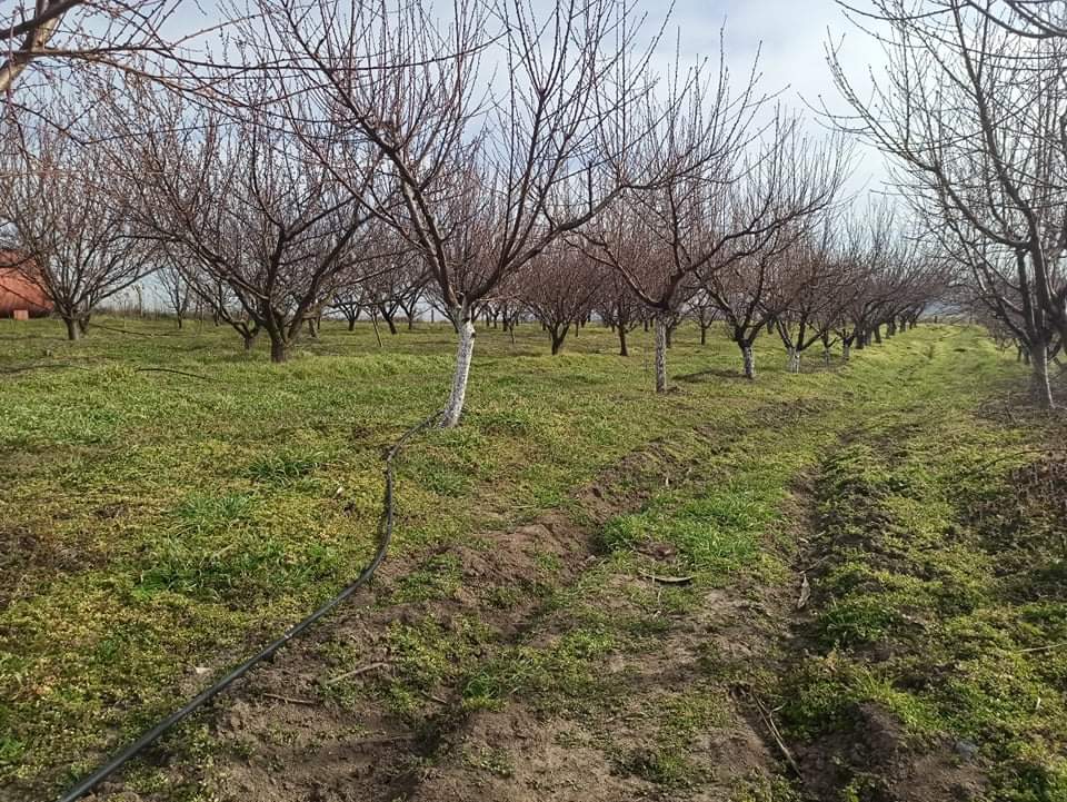 Продава Овощна градина в Провадия, област Варна