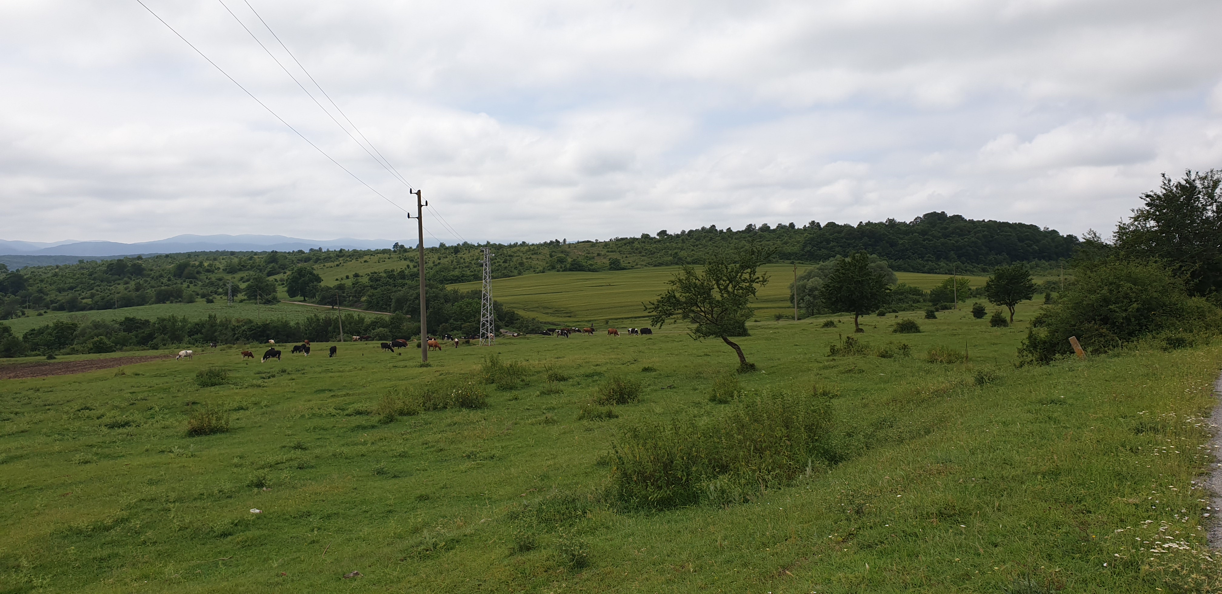 Продава Земеделска земя в село Сушина, област Шумен