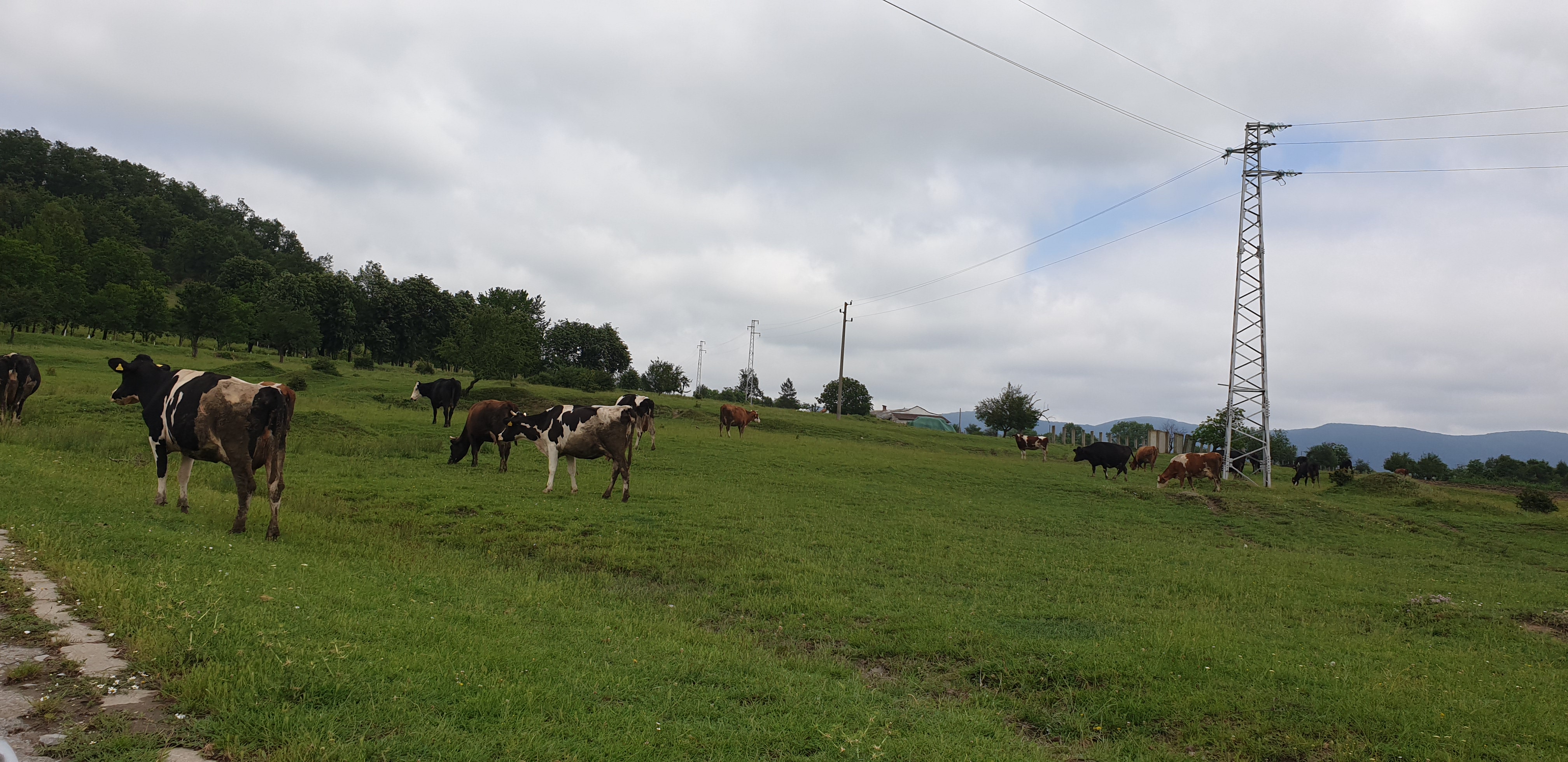 Продава Земеделска земя в село Сушина, област Шумен