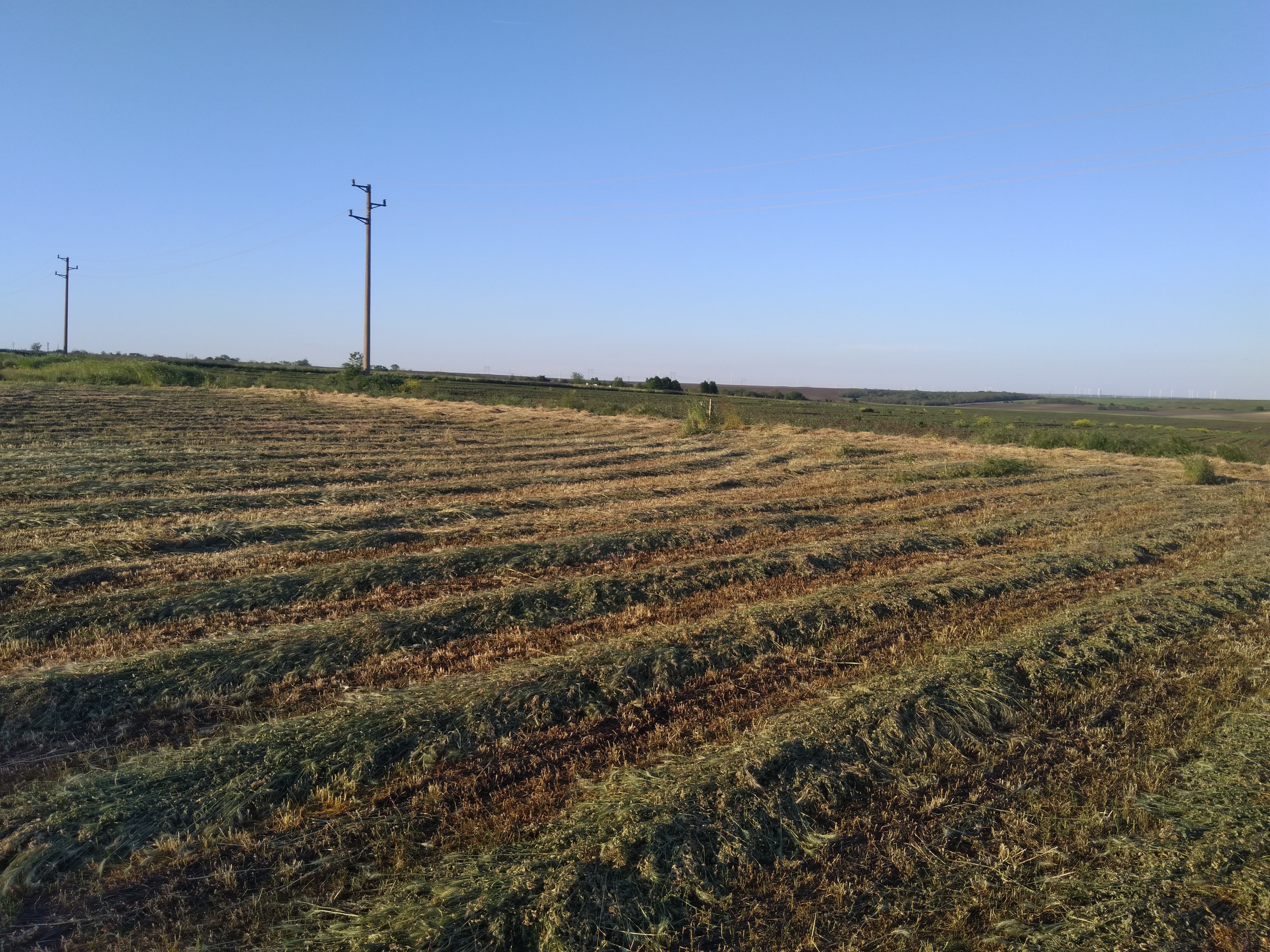 Продава Парцел във Ветрино, област Варна