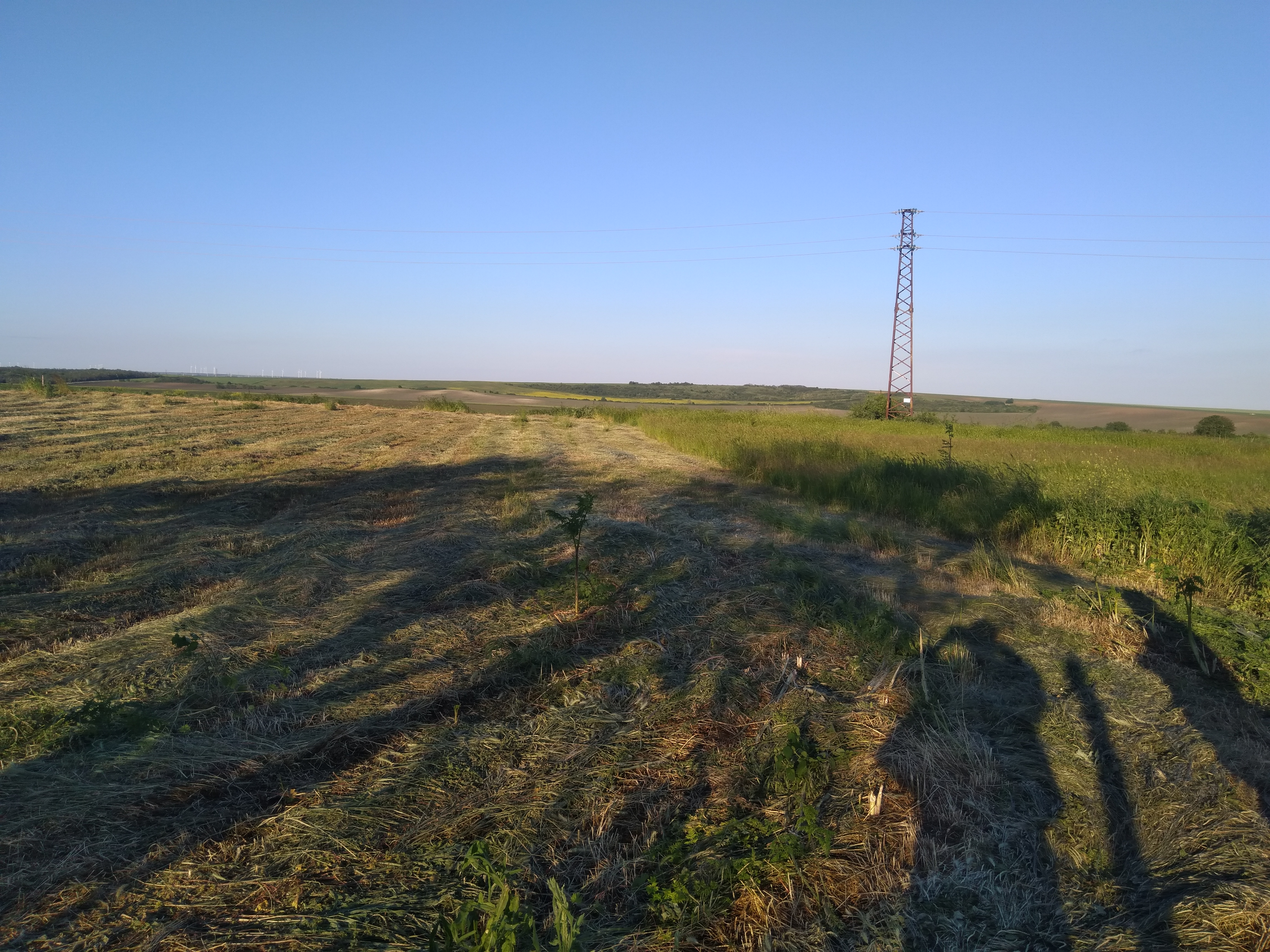 Продава Парцел във Ветрино, област Варна