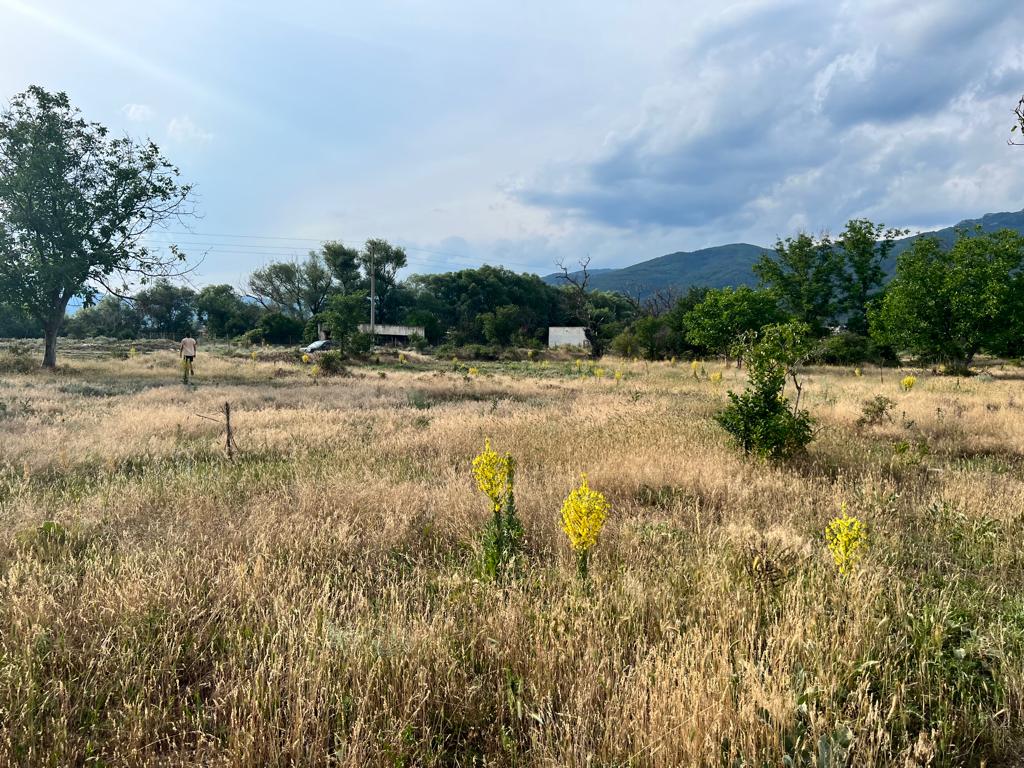 Продава Парцел в Казанлък, квартал Енина, област Стара Загора