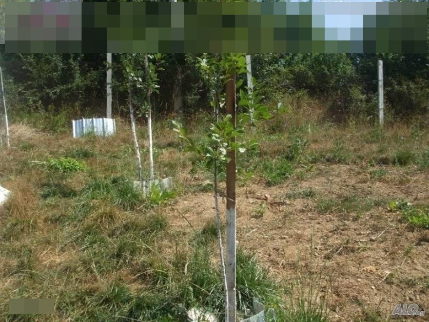 Продава Къща в село ГАБРОВДОЛ, област ПЕРНИК