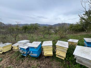 Продава Парцел в Енина, квартал Старите Лозя, Казанлък, област Стара Загора