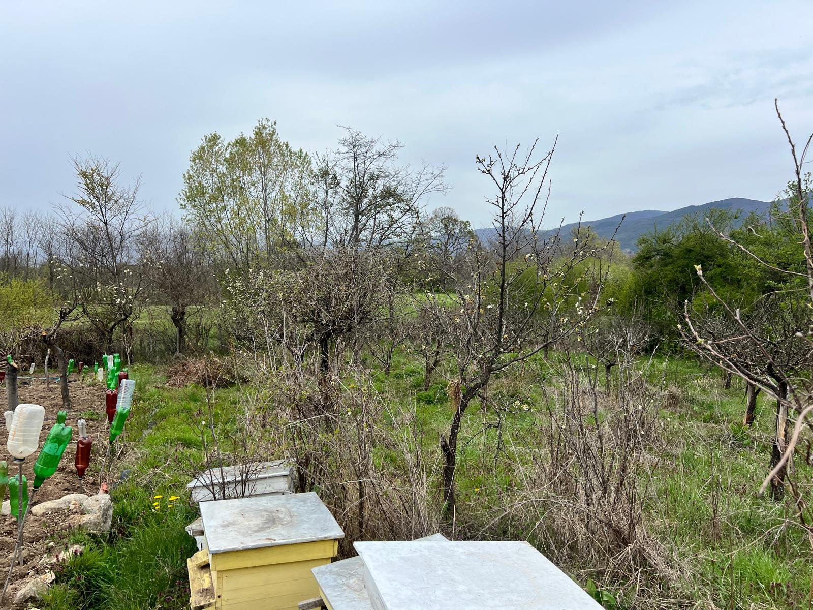Продава Парцел в Енина, квартал Старите Лозя, Казанлък, област Стара Загора
