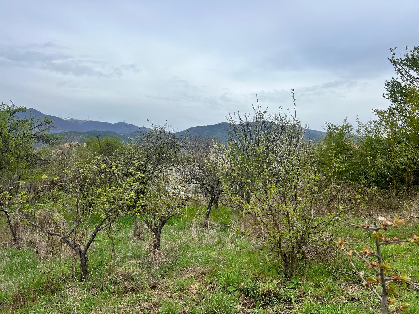 Продава Парцел в Енина, квартал Старите Лозя, Казанлък, област Стара Загора