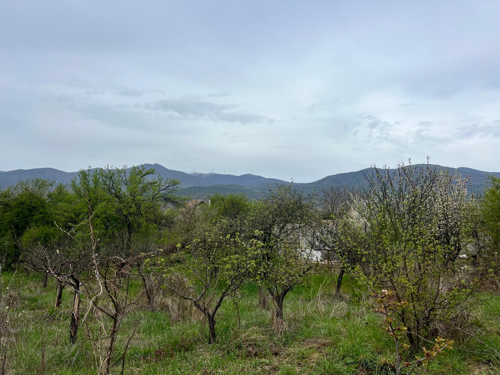 Продава Парцел в Енина, квартал Старите Лозя, Казанлък, област Стара Загора