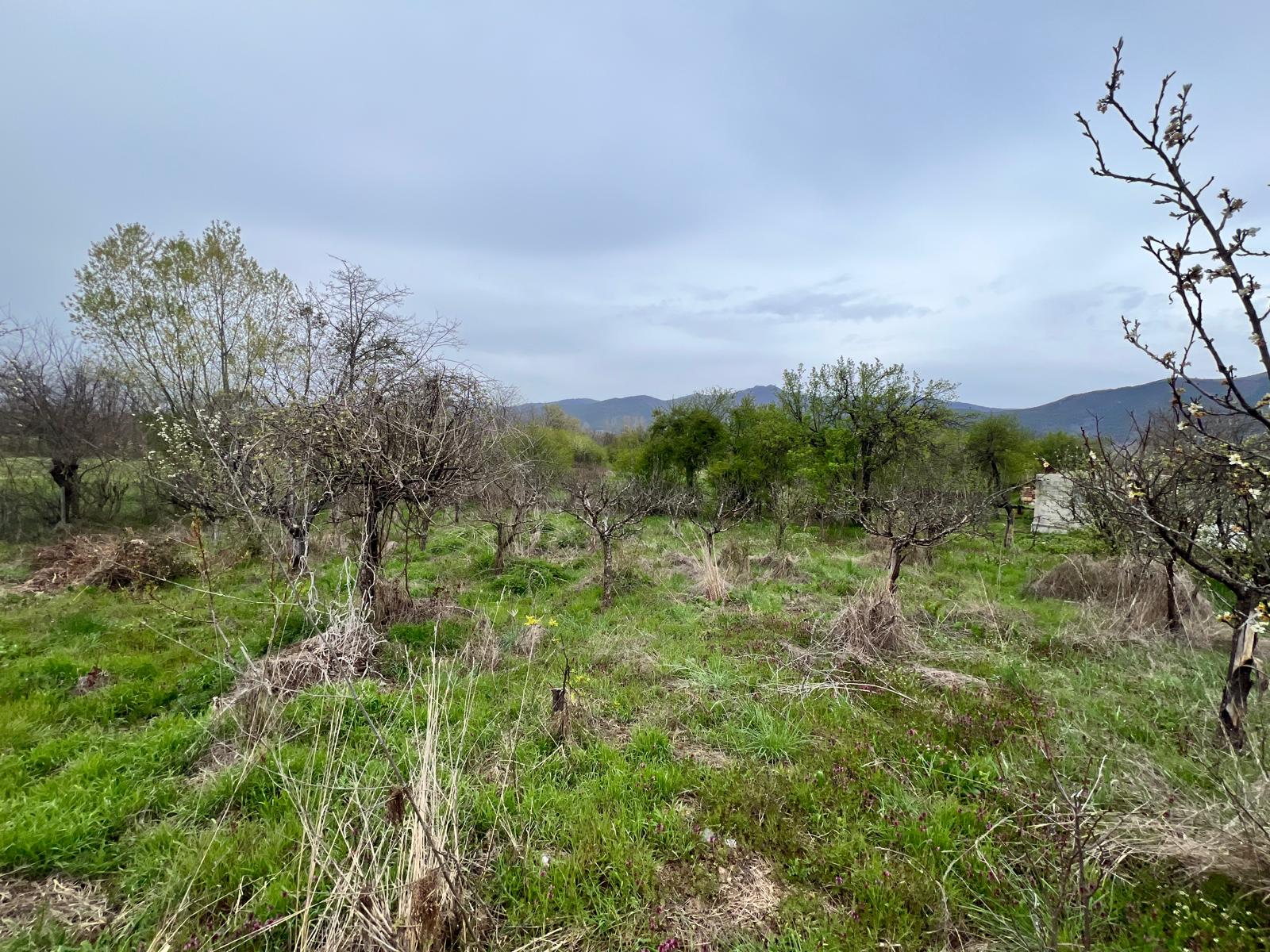 Продава Парцел в Енина, квартал Старите Лозя, Казанлък, област Стара Загора
