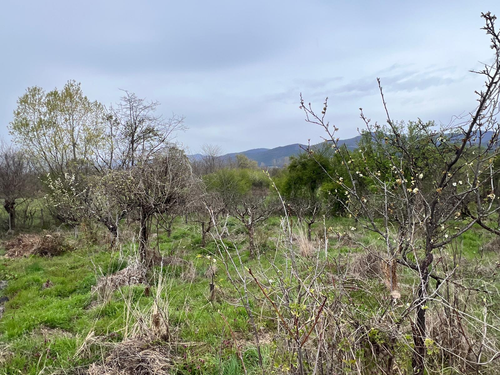 Продава Парцел в Енина, квартал Старите Лозя, Казанлък, област Стара Загора